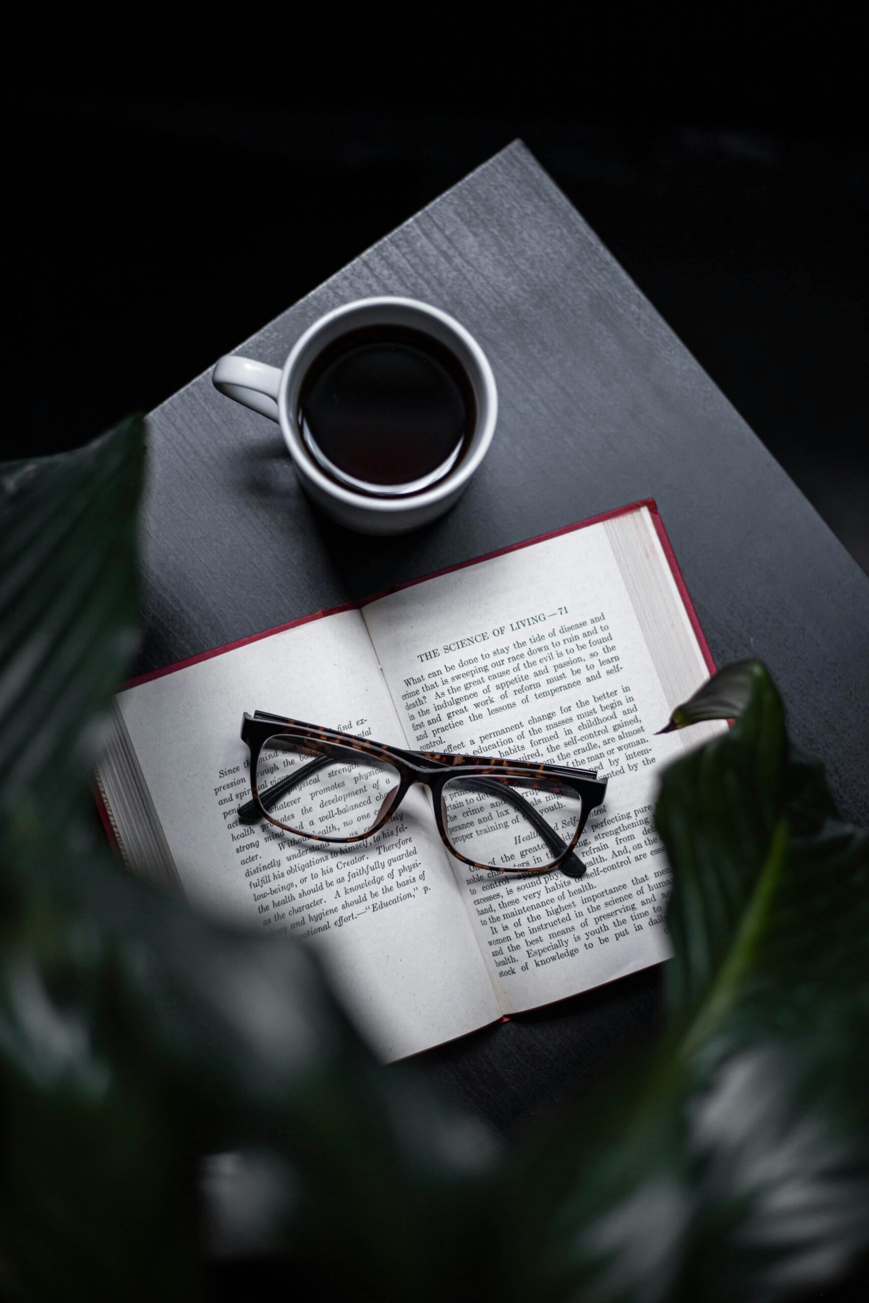 7 Tips Cara Baca Buku Sampai Habis – Tak Perlu Paksa Diri Lagi!